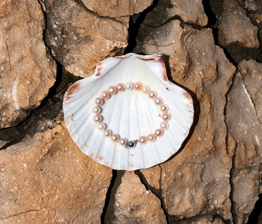 [VCCB14] 8-9mm AA+ Multicolour Freshwater Bracelet