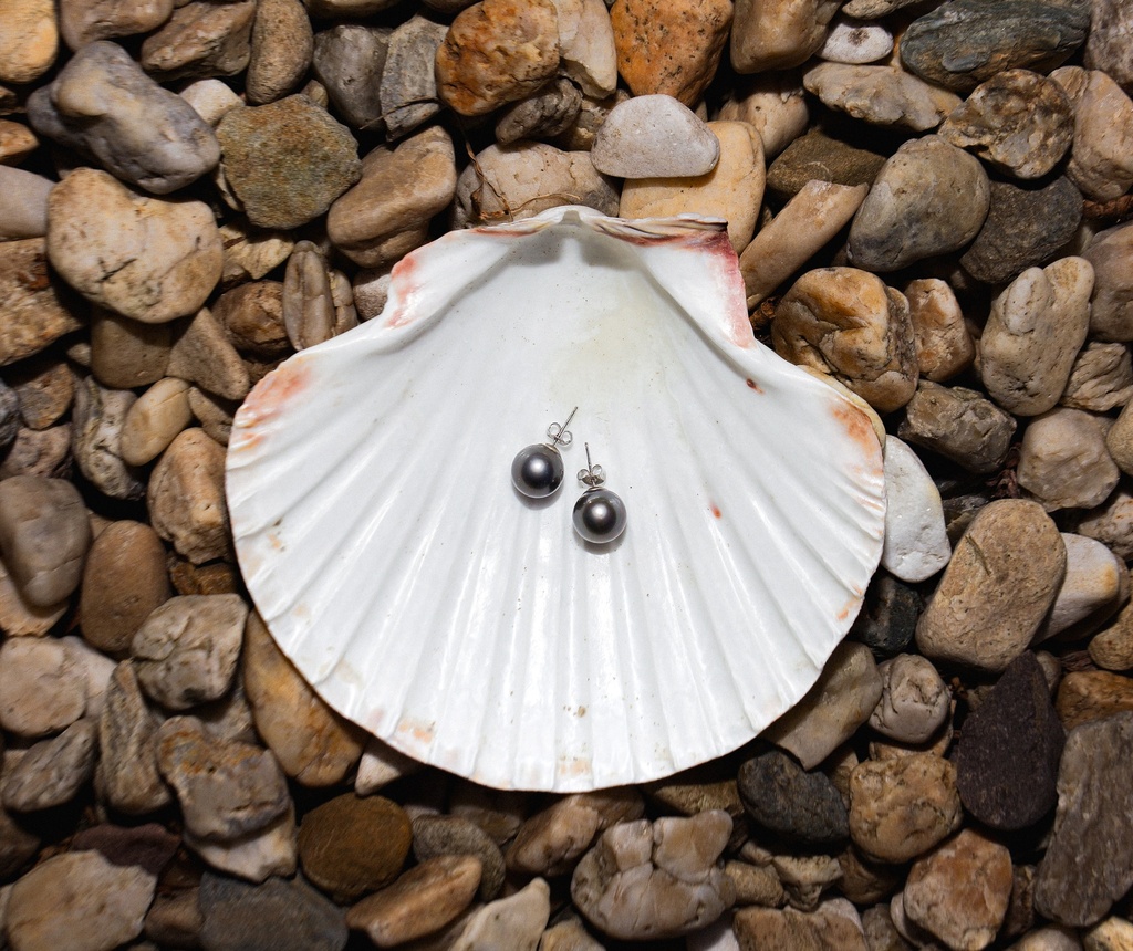 [VSEET10] 7-9mm AA+ Tahitians Sea Pearl Stud Earrings